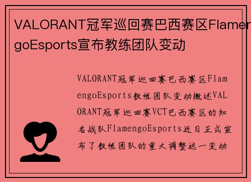 VALORANT冠军巡回赛巴西赛区FlamengoEsports宣布教练团队变动