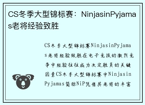 CS冬季大型锦标赛：NinjasinPyjamas老将经验致胜