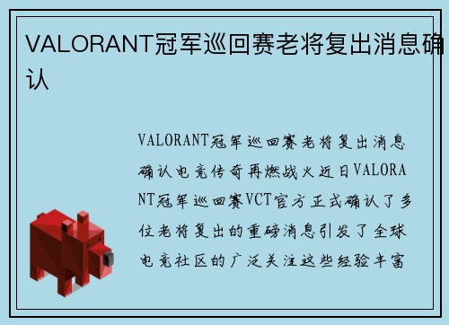 VALORANT冠军巡回赛老将复出消息确认