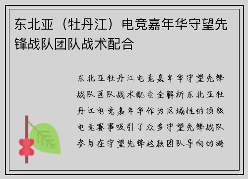 东北亚（牡丹江）电竞嘉年华守望先锋战队团队战术配合